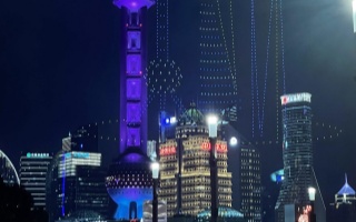 上海夜网论坛GM究竟藏着什么秘密？